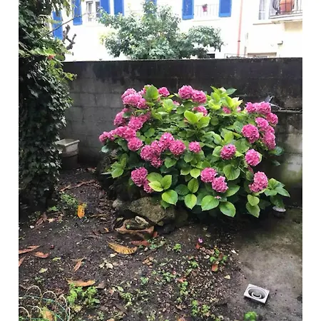 Chez Miguel Angel Bonneuil-sur-Marne